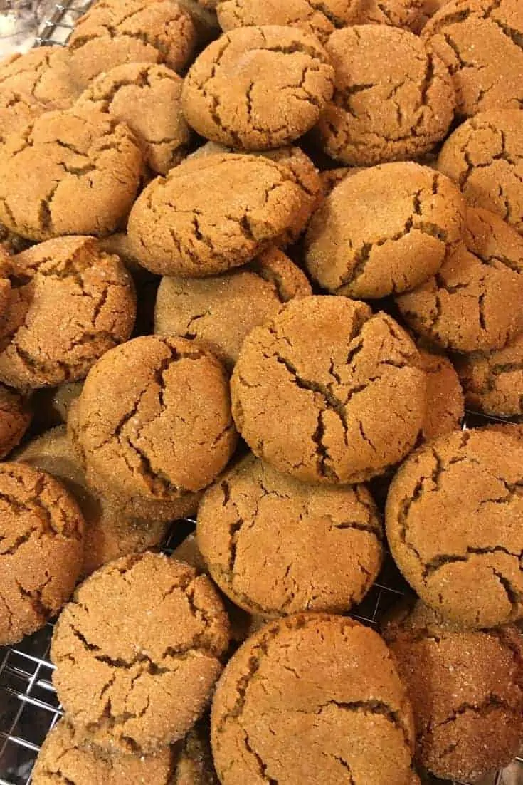 overhead shot of a huge pile of gingersnaps.