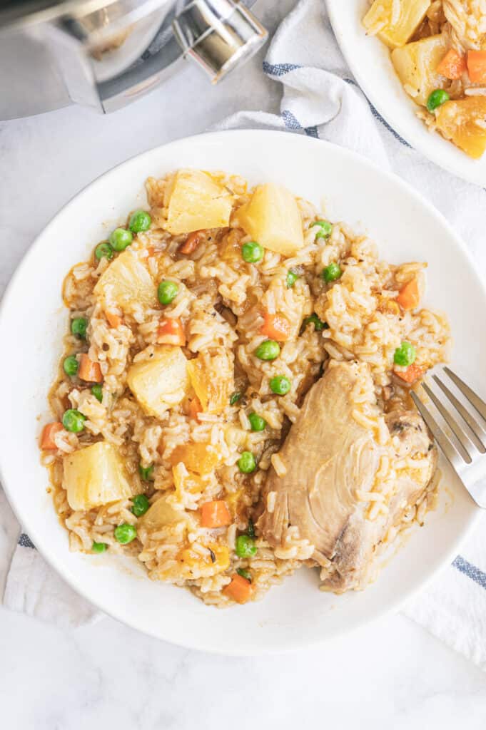 overhead shot of the chicken and rice on a white plate with a fork.