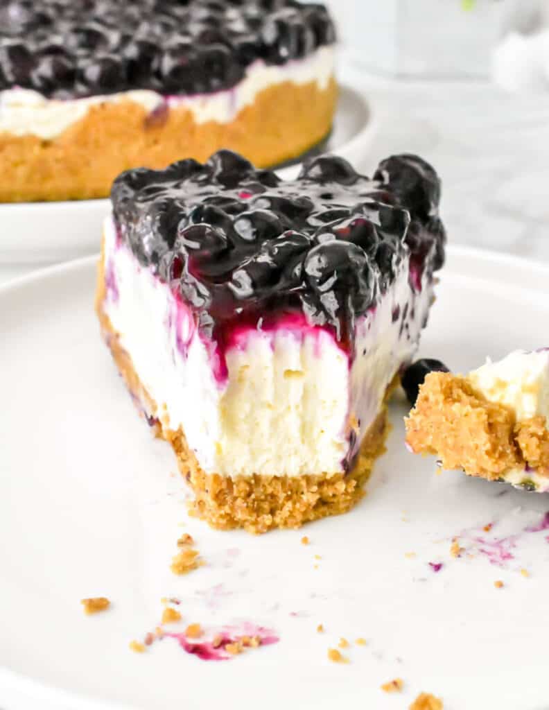 one slice of the blueberry cheesecake with a fork full remove from the front, the scoop on the plate is off to the right side.