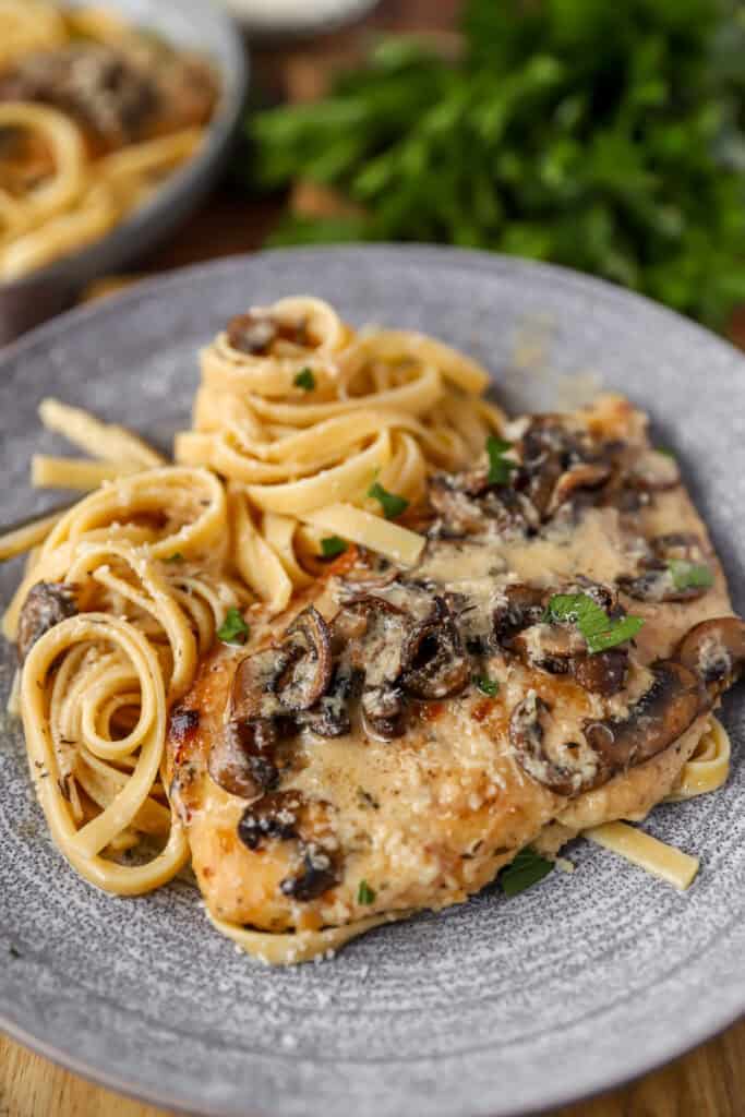 chicken marsala with fettucine noodles on a grey plate. Parsley in the background.