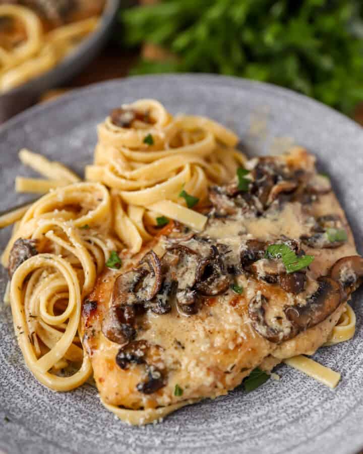 chicken marsala with fettucine noodles on a grey plate. Parsley in the background.