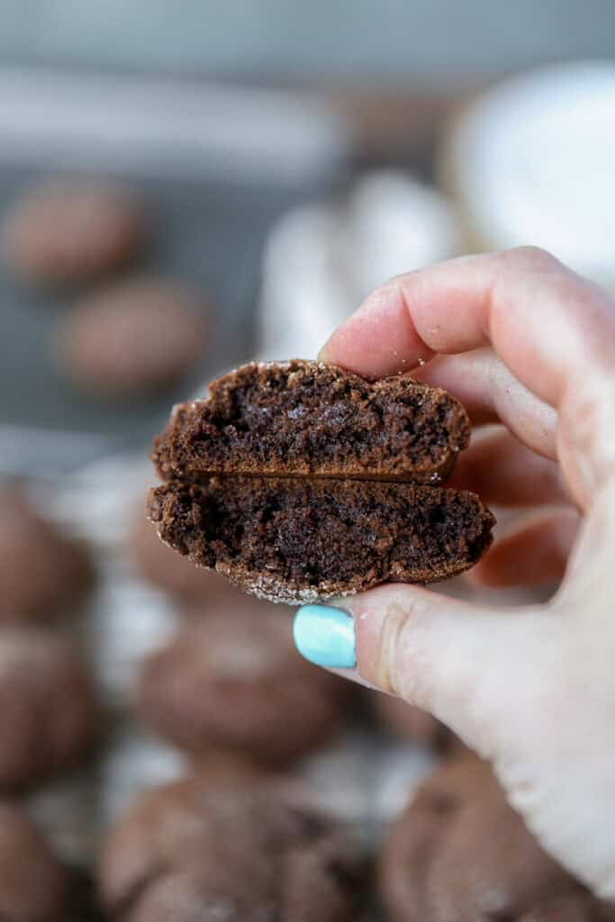 a hand holding a cookie that's been broken open to show the interior texure.