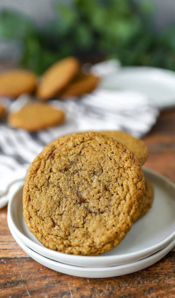 a stack of the oatmeal cookies with one positioned closer to the camera on a stack of 2 round white plates.